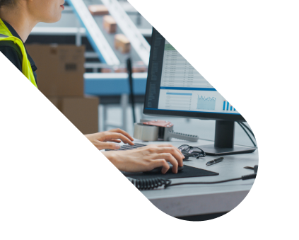 Software e logiche di gestione